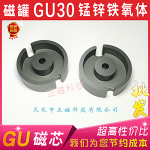 GU30о P30Ź FwPC40 늸ЂlGU30/19Ǽ